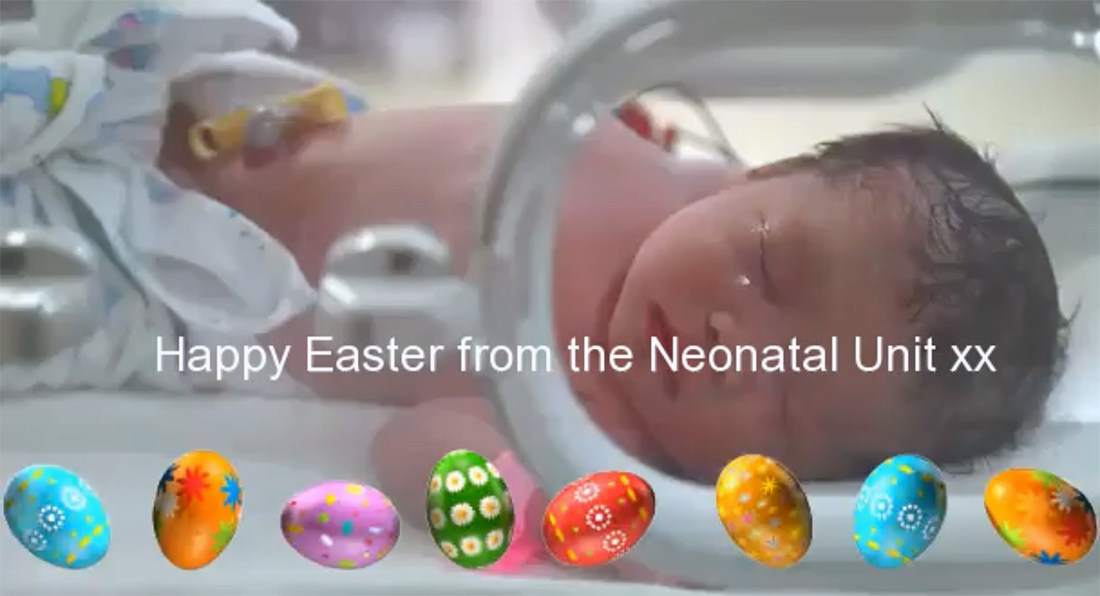vCreate launch Easter Effect for Video Updates from the Neonatal Unit