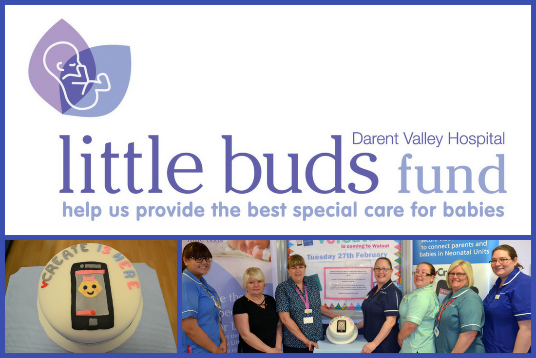 Sponsor Spotlight with Sally from the Little Buds Fund Sponsor Spotlight with Sally from the Little Buds Fund